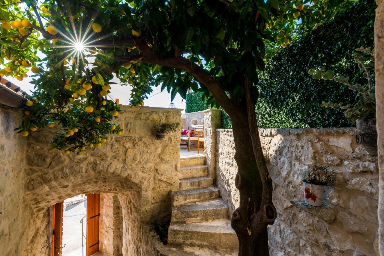 Villa Kanada Brsečine 외부 사진